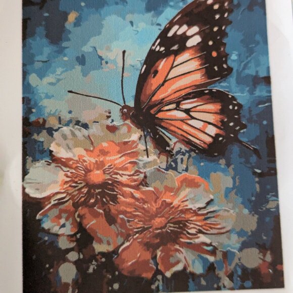 Other - 3@$15    Butterfly Paint By Number CLOSET CLOSING
